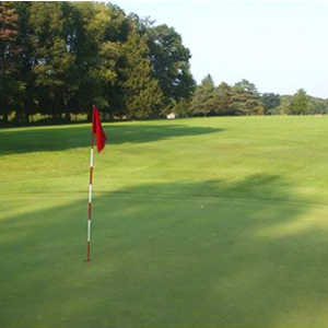 Pine Grove Golf Course In Grove City