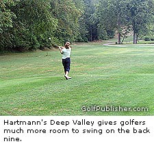 Hartmann's
