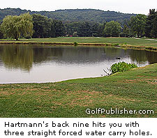 Hartmann's